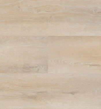 HBG-PSD-Progress-54808-Plank_LR