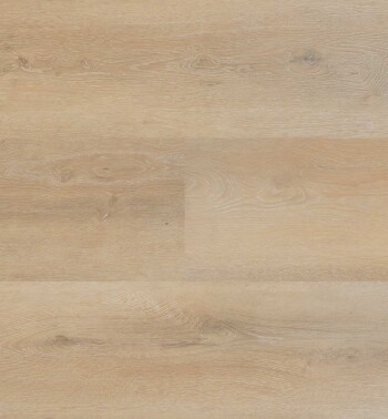 HBG-PSD-Progress-54809-Plank_LR