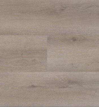 HBG-PSD-Progress-54810-Plank_LR