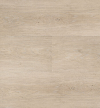 HBG_42_img585_54842_Samengesteld-LR