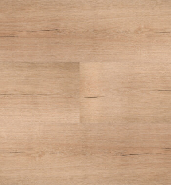 HBG_51_img583_54851_Samengesteld-LR