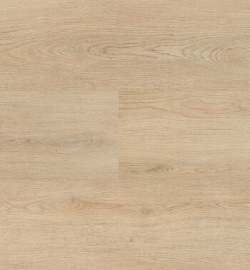 HBG_57_img597_54857_Samengesteld-LR