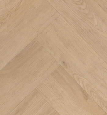 HBG_58_img612_54858_visgraat-LR